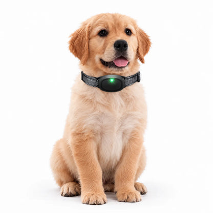 Elektronisches Anti-Bell-Halsband Für Hunde