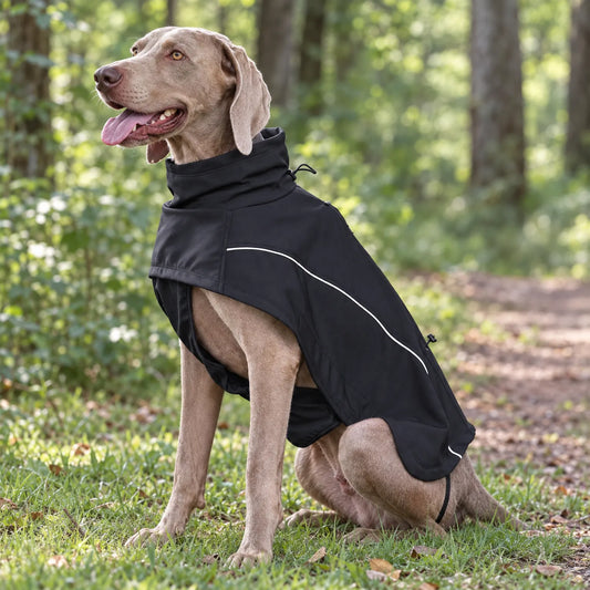 Gefütterter Hundemantel Für Geschirrträger