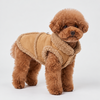 Gefütterter Hundemantel für den Winter mit D-Ring