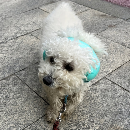 Gehörschutz Hund Geräuschreduzierend Verstellbar | Canvoro