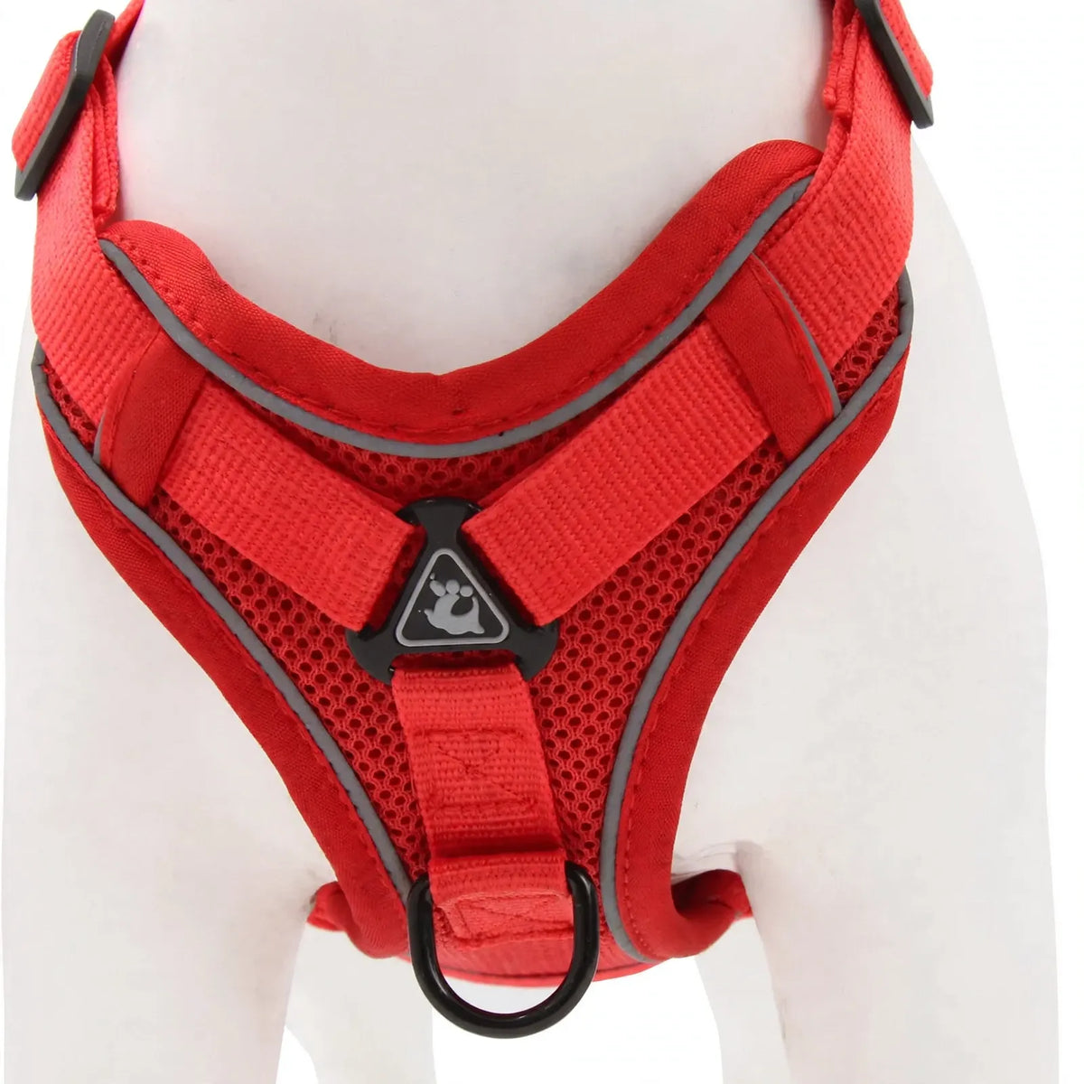 Gepolstertes Hundegeschirr Mit Passender Hundeleine