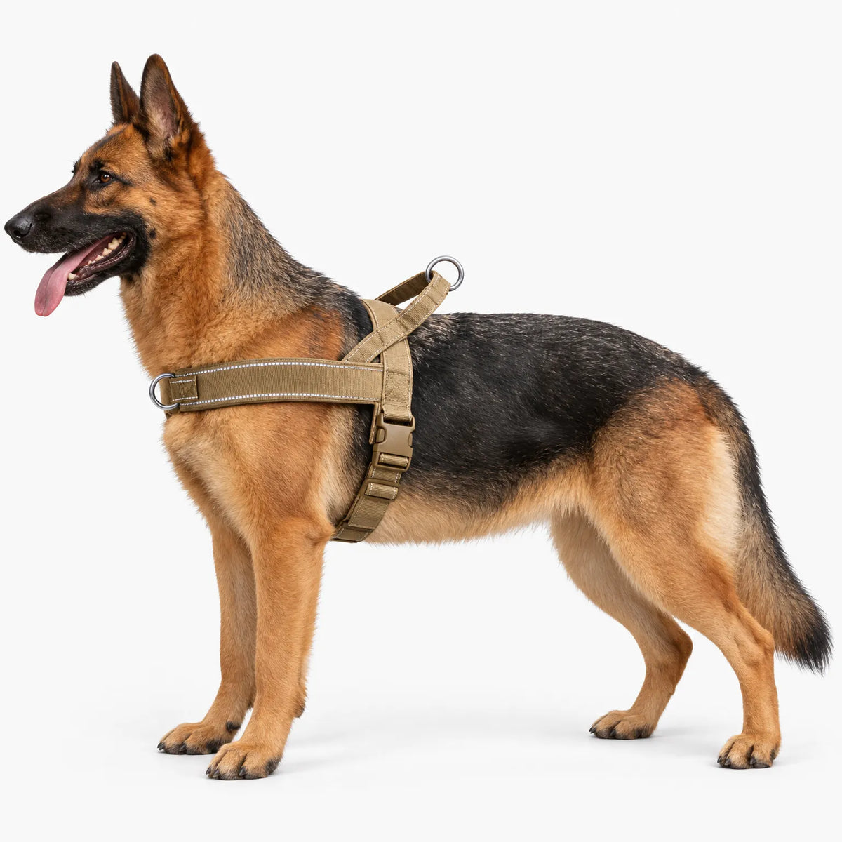 Gepolstertes Hundegeschirr Mit Reflektierenden Streifen
