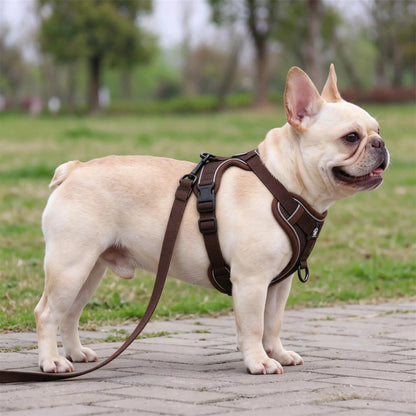 Gepolstertes Hundegeschirr Mit Vier Verstellpunkten
