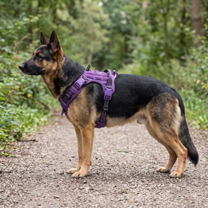 Gepolstertes Taktisches Hundegeschirr Mit Griff