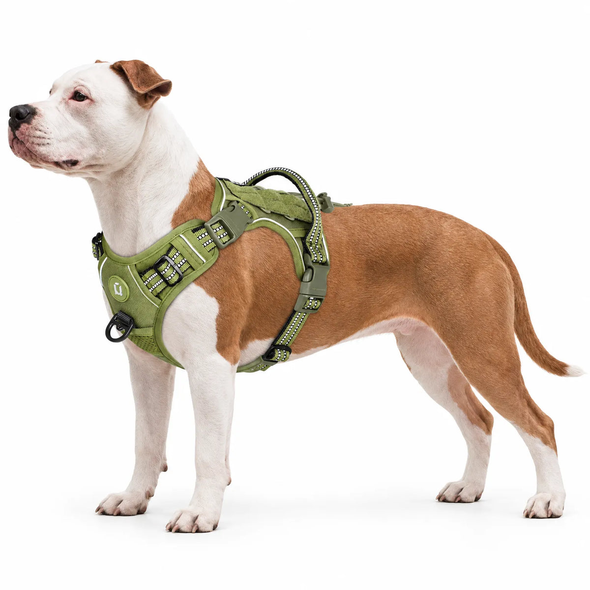 Gepolstertes Taktisches Hundegeschirr Mit Griff