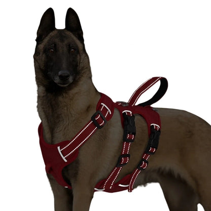 Georg Hunde Geschirr mit reflektierenden Details