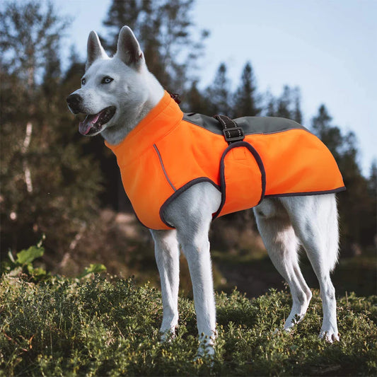 Jaxorin Hundejacke wasserdicht und winddicht