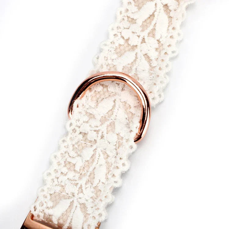 Elsa | Luxe Halsband mit kostenlosem Geschirr (im Wert von 14,95 €)
