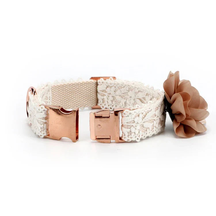 Elsa | Luxe Halsband mit kostenlosem Geschirr (im Wert von 14,95 €)