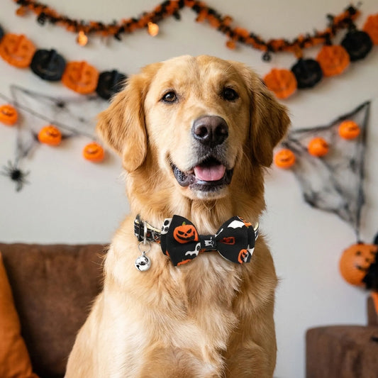 Halloween Hundehalsband mit Fliege und Glocke für Hunde