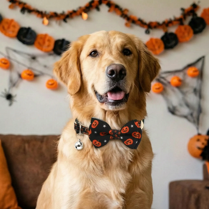 Halloween Hundehalsband mit Fliege und Glocke für Hunde