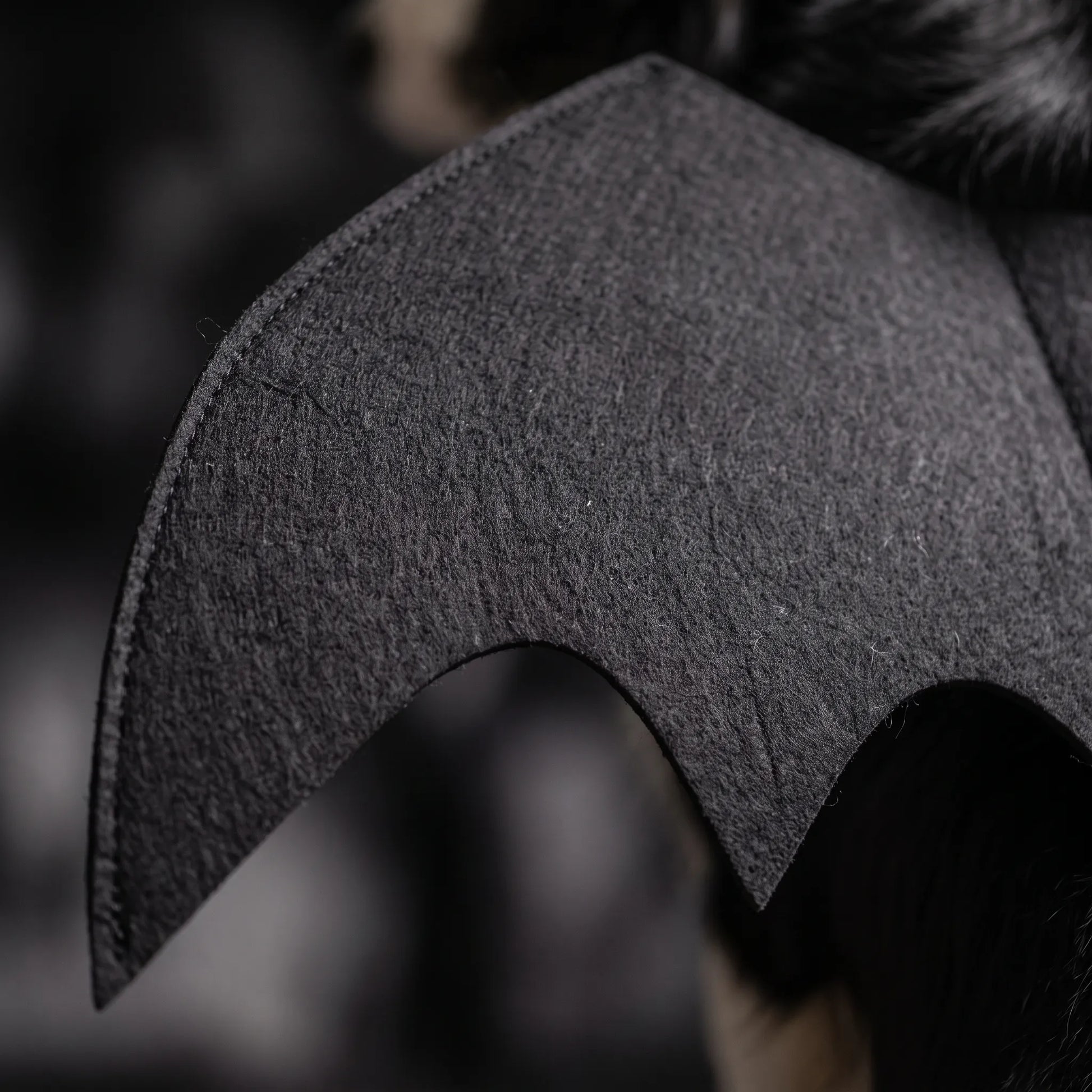 Halloween Hundekostüm Fledermaus Flügel für Hunde