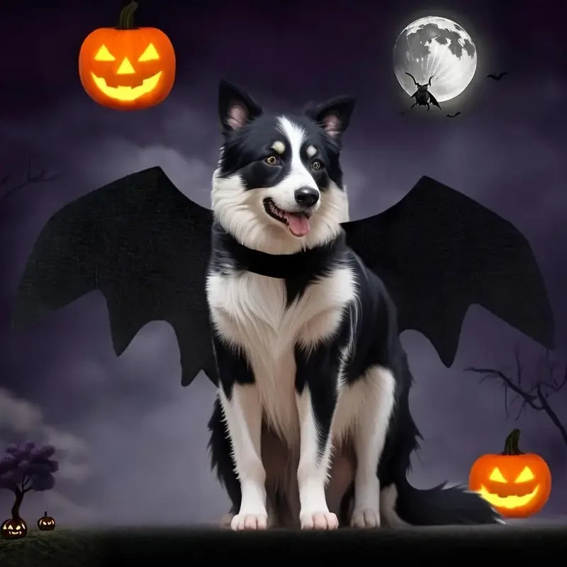 Halloween Hundekostüm Fledermaus Flügel für Hunde