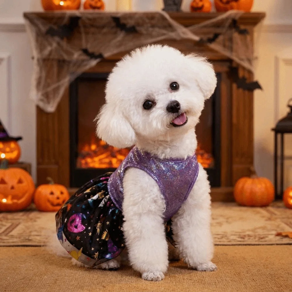 Halloween Hundekostüm Glitzerkleid mit Rock für kleine Hunde
