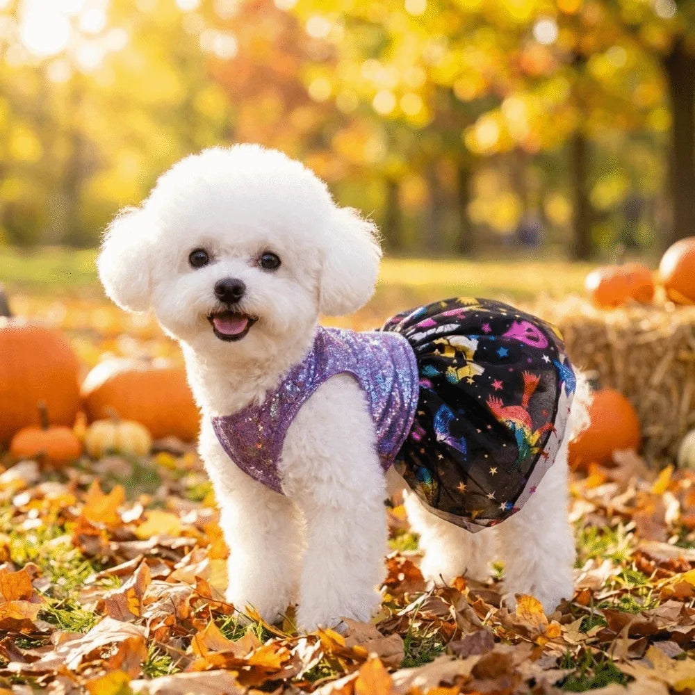 Halloween Hundekostüm Glitzerkleid mit Rock für kleine Hunde