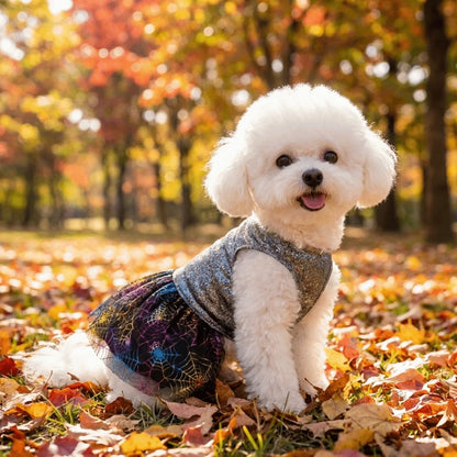 Halloween Hundekostüm Glitzerkleid mit Rock für kleine Hunde