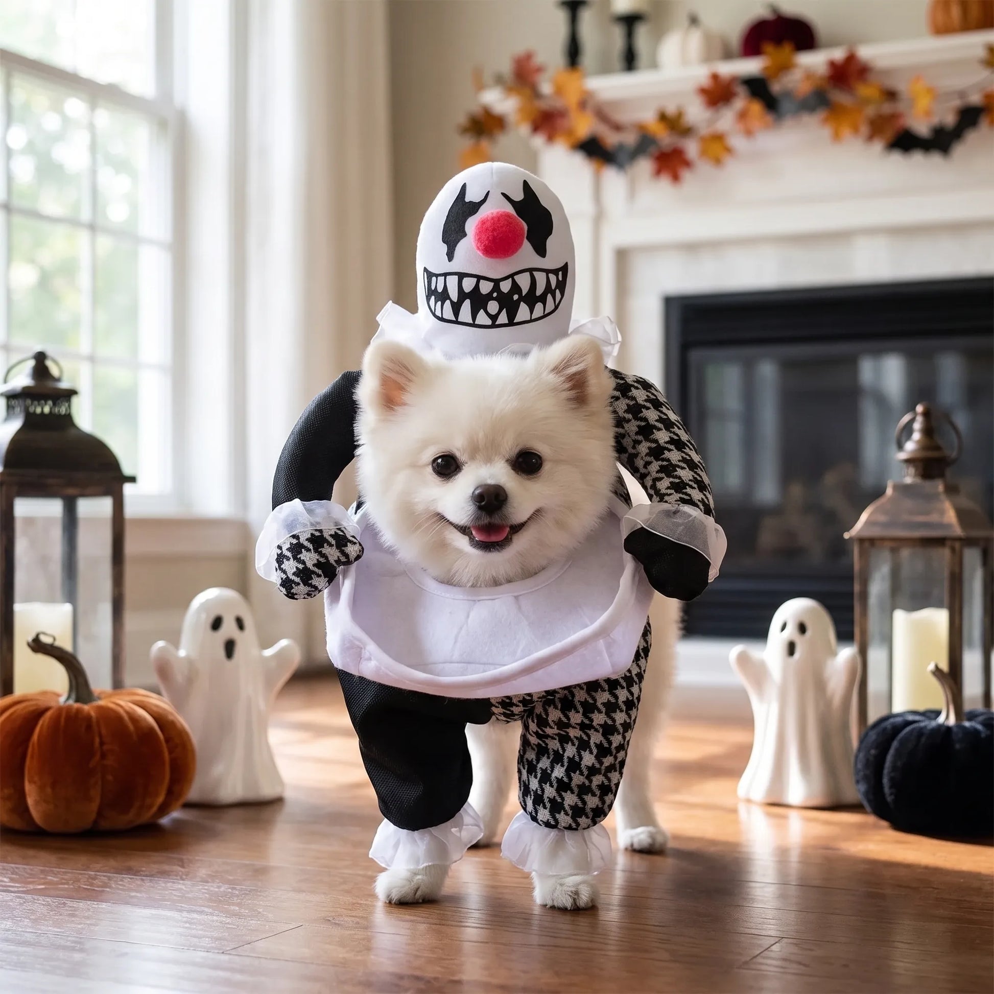 Halloween Hundekostüm Grusel Clown Kostüm für Hunde
