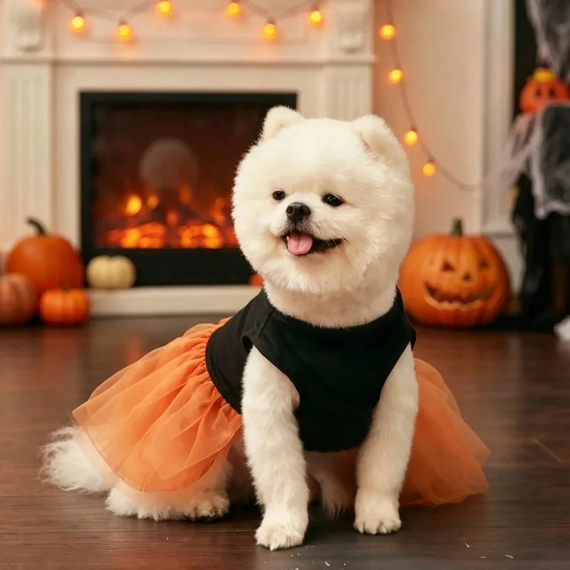 Halloween Hundekostüm Kürbis Kleid mit Tüllrock für Hunde