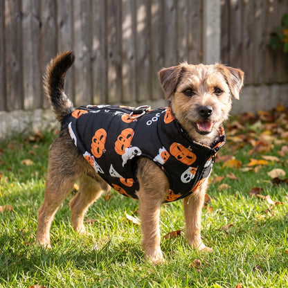 Halloween Hundemantel Gefüttert mit Halloween Motiven für Hunde
