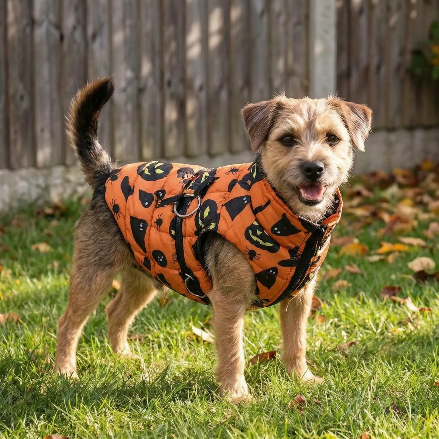 Halloween Hundemantel Gefüttert mit Halloween Motiven für Hunde