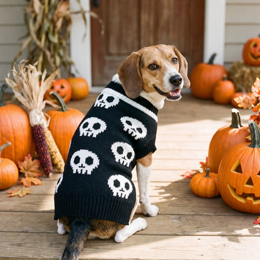 Halloween Hundepullover Gestrickt mit Totenkopf Motiv für Hunde