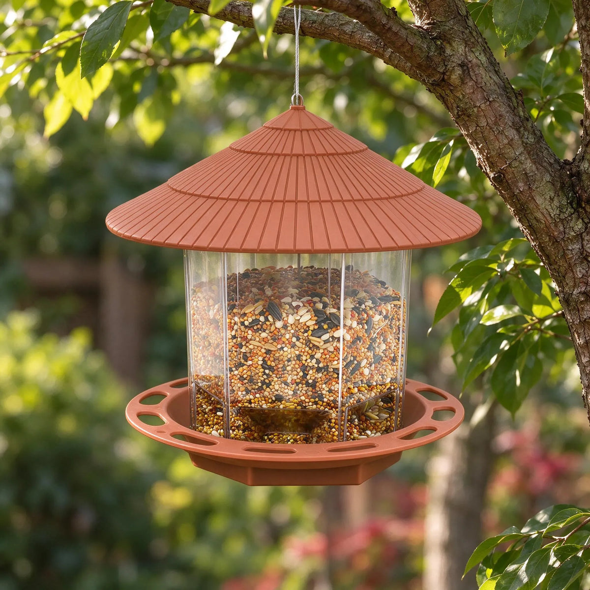 Hängendes Vogelfutterhaus Im Pavillon Design