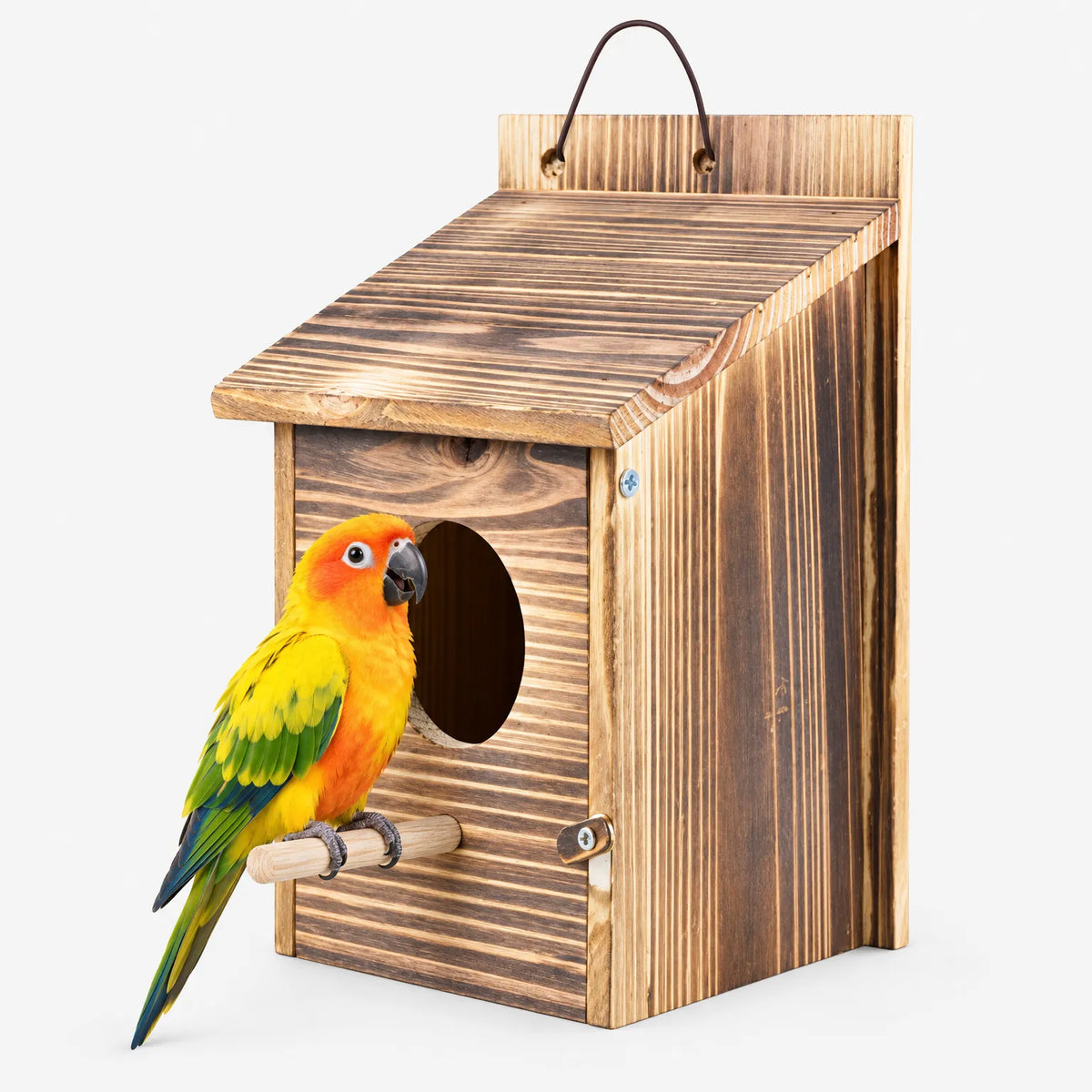Hängendes Vogelhaus Mit Sitzstange