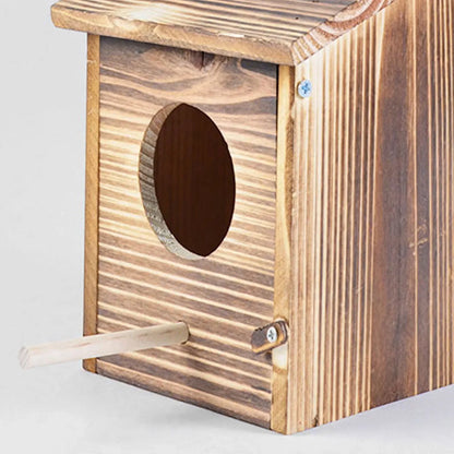 Hängendes Vogelhaus Mit Sitzstange