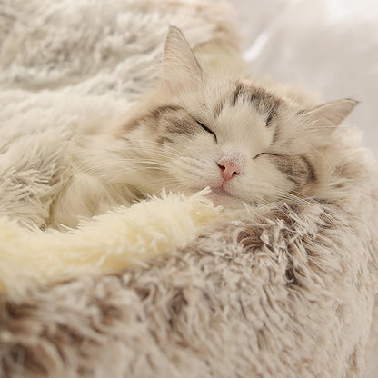 Vera Hundebett und Katzenbett
