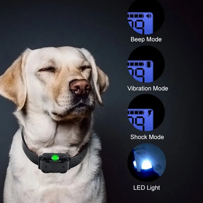 Lupo Trainingshalsband mit Fernbedienung fr Hunde | Ton, Vibration, einstellbare Stimulation | wasserdicht | Knuddel Pfoten Lupo Trainingshalsband mit Fernbedienung fr Hunde | Ton, Vibration, einstellbare Stimulation | wasserdicht | Knuddel Pfoten
