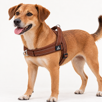 Horst | Reflektierendes No Pull Hundegeschirr