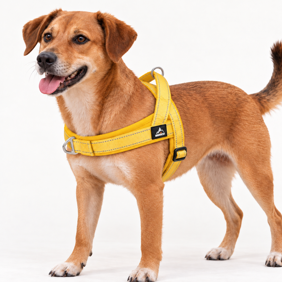 Horst | Reflektierendes No Pull Hundegeschirr