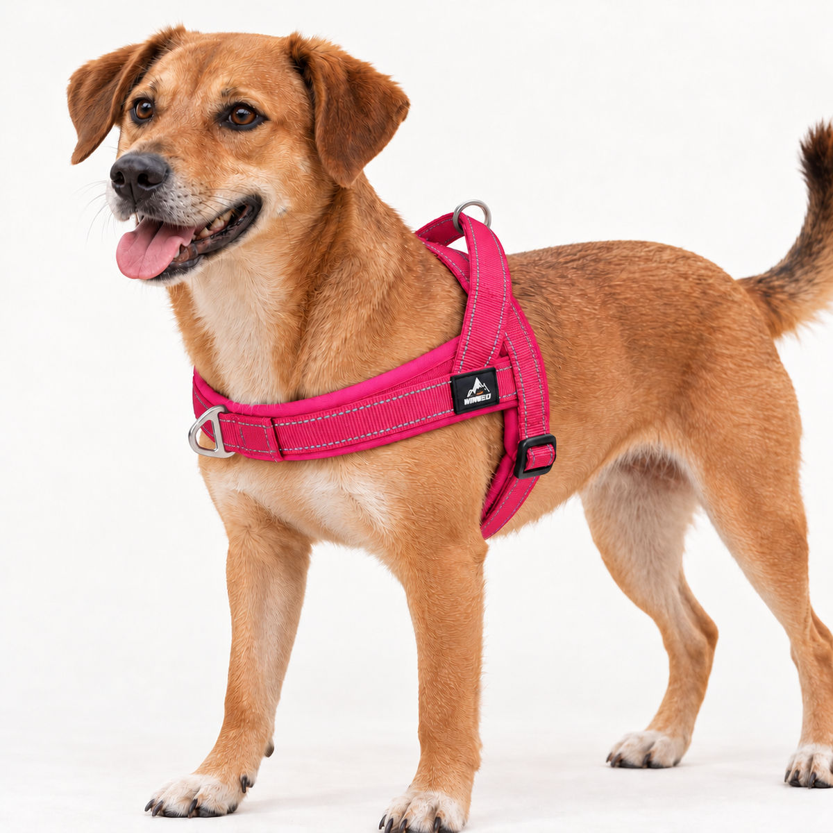 Horst | Reflektierendes No Pull Hundegeschirr