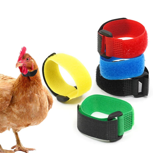 Hühner Halsband Nylon Geräuschreduzierend für Geflügel | Krailo