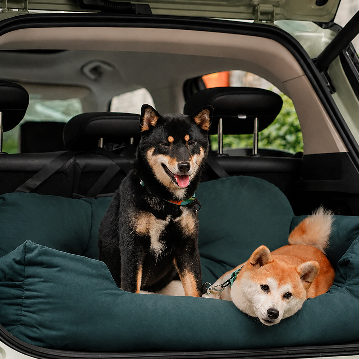 Hunde Autositz mit Gurten und rutschfester Unterseite | Vexley