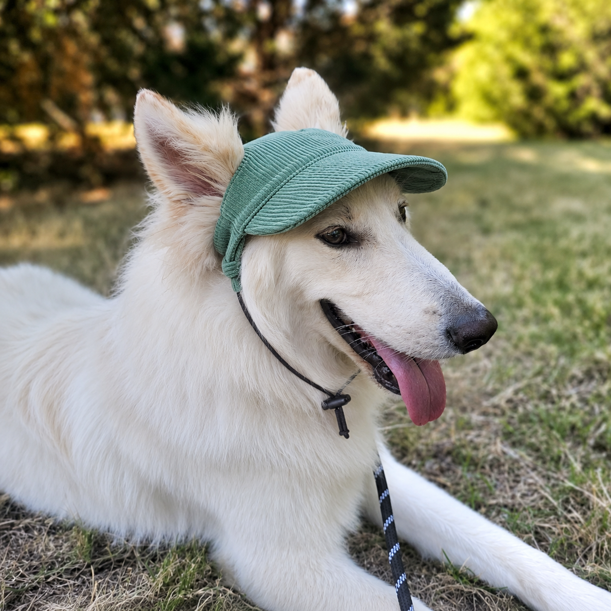 Hundebaseballkappe UPF 50+ atmungsaktiv fuer Sommer | Nexial