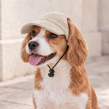 Hundebaseballkappe UPF 50+ atmungsaktiv für Sommer | Nexial