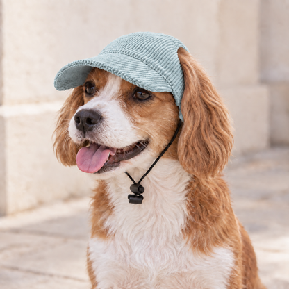 Hundebaseballkappe UPF 50+ atmungsaktiv für Sommer | Nexial