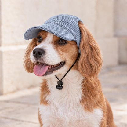 Hundebaseballkappe UPF 50+ atmungsaktiv für Sommer | Nexial