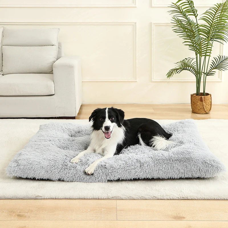 Hundebett aus Plüsch mit Anti Rutsch Unterseite und faltbarem Design | Pawzora