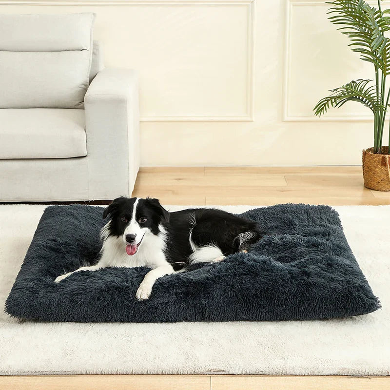 Hundebett aus Plüsch mit Anti Rutsch Unterseite und faltbarem Design | Pawzora