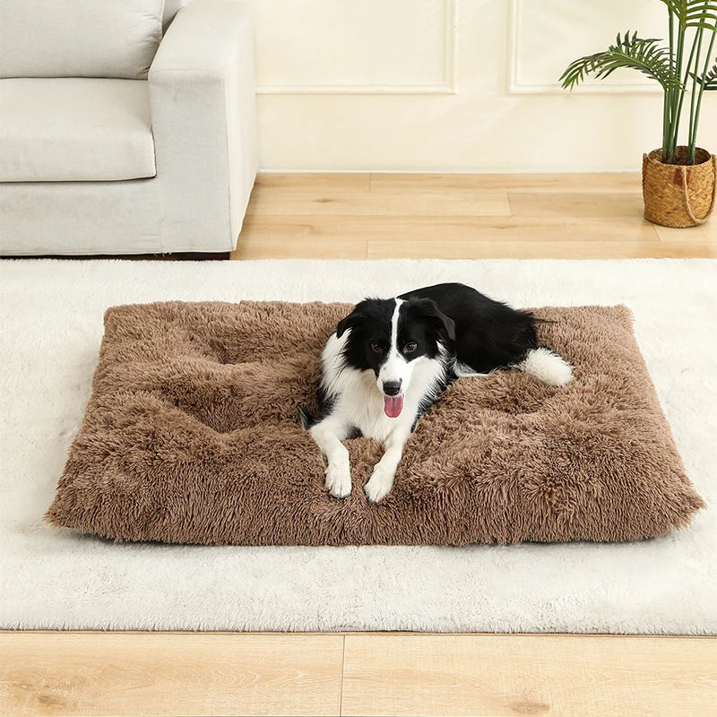 Hundebett aus Plüsch mit Anti Rutsch Unterseite und faltbarem Design | Pawzora