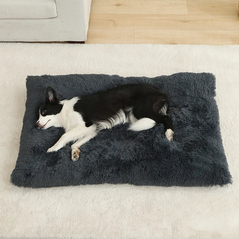 Hundebett aus Plüsch mit Anti Rutsch Unterseite und faltbarem Design | Pawzora