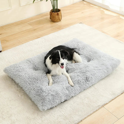 Hundebett aus Plüsch mit Anti Rutsch Unterseite und faltbarem Design | Pawzora