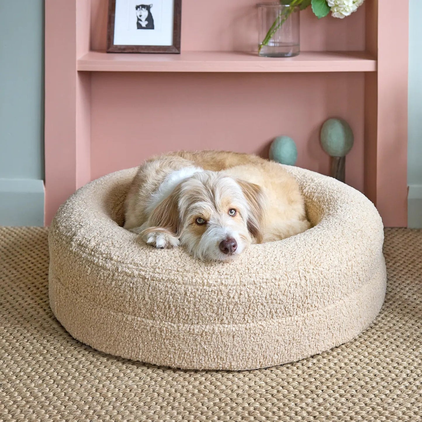 Hundebett mit Memoryschaum und Rundrand | Riffle