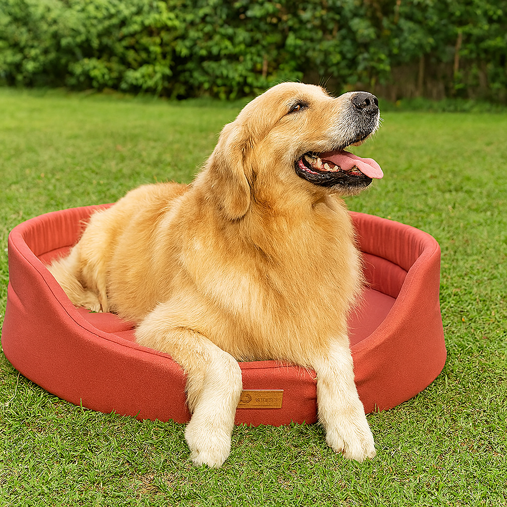 Hundebett strapazierfähig für alle Jahreszeiten mit abnehmbarem Kissen | SolvoNest