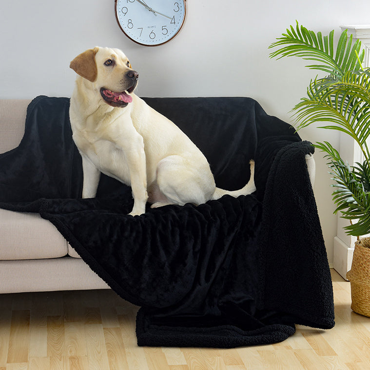 Hundedecke mit wasserabweisender Schicht und Plüschstoff | Xander