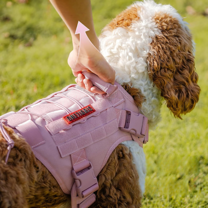 Hundegeschirr mit Kontrolle und MOLLE-System | GripTrek