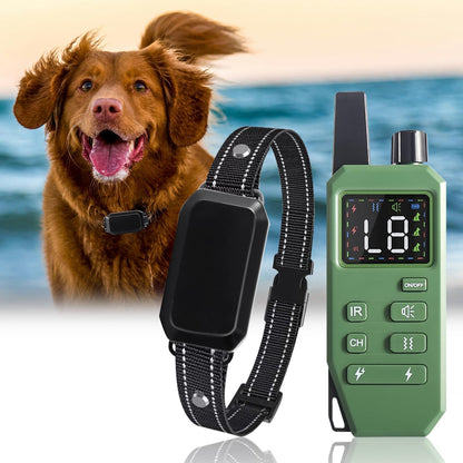 Hundehalsband mit Fernbedienung und Lichtfunktion | Voltino