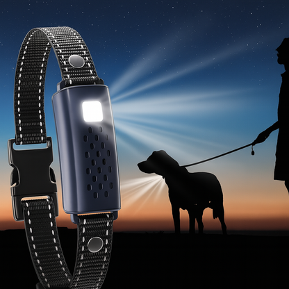 Hundehalsband mit Vibration Ton und Licht zur Erziehung | Dogivox